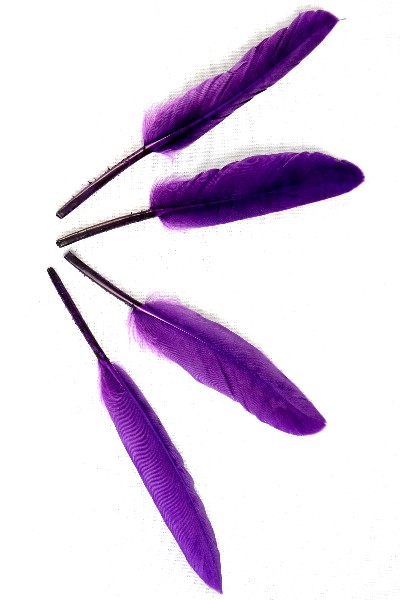 Oie Lame - 10-15 cm - violet